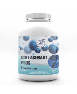 Collagenart Plus Granel | 300 Grs